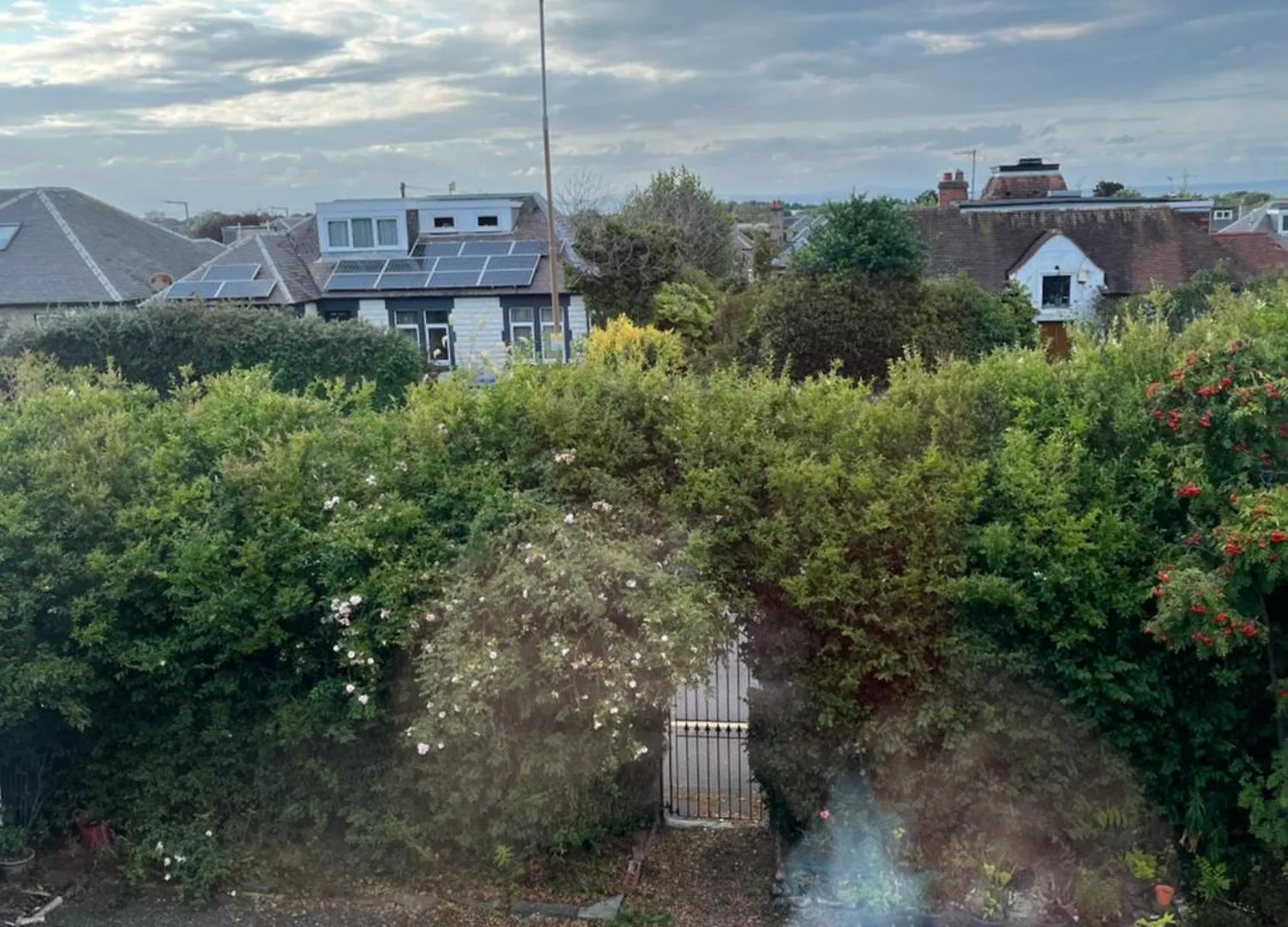 Homestay Relaxing, Cozy 1 Double Room Edinburgh United Kingdom