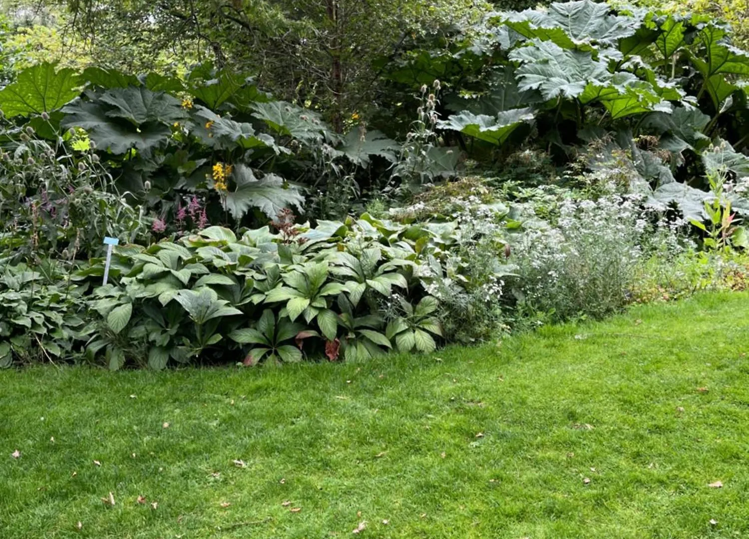 Homestay Relaxing, Cozy 1 Double Room Edinburgh