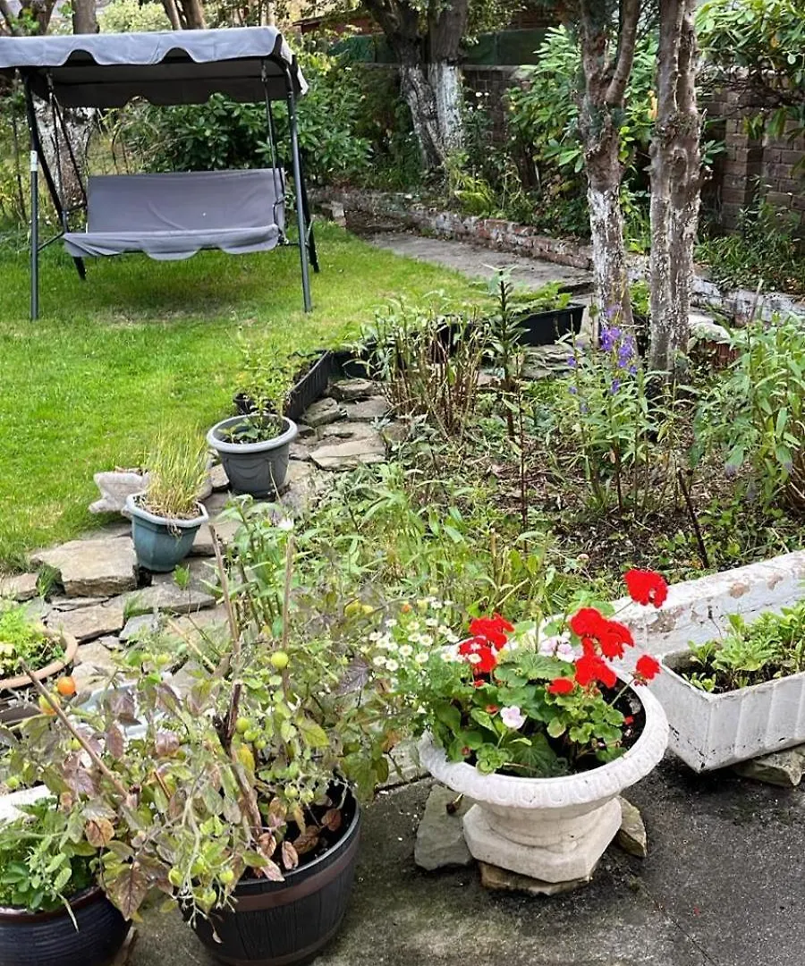 Relaxing, Cozy 1 Double Room Edinburgh Homestay